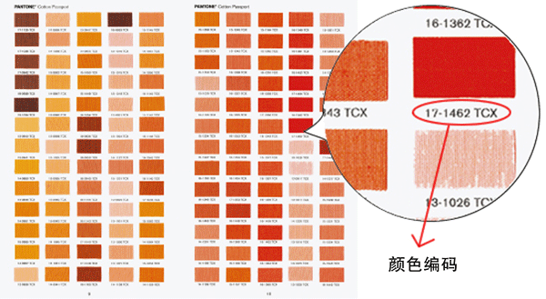 TCX色卡图片示例图(尺寸:1.5*1.0cm)